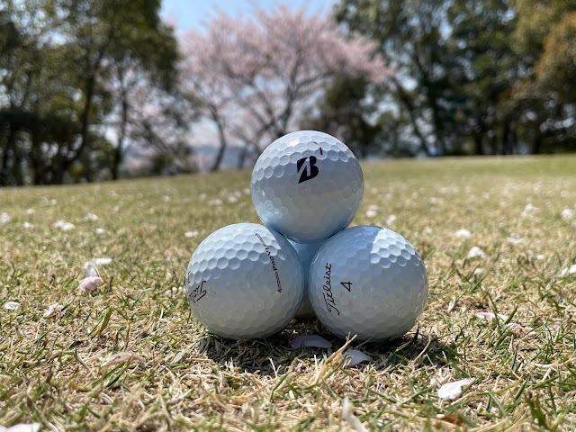 青山ゴルフクラブ - Photo 5