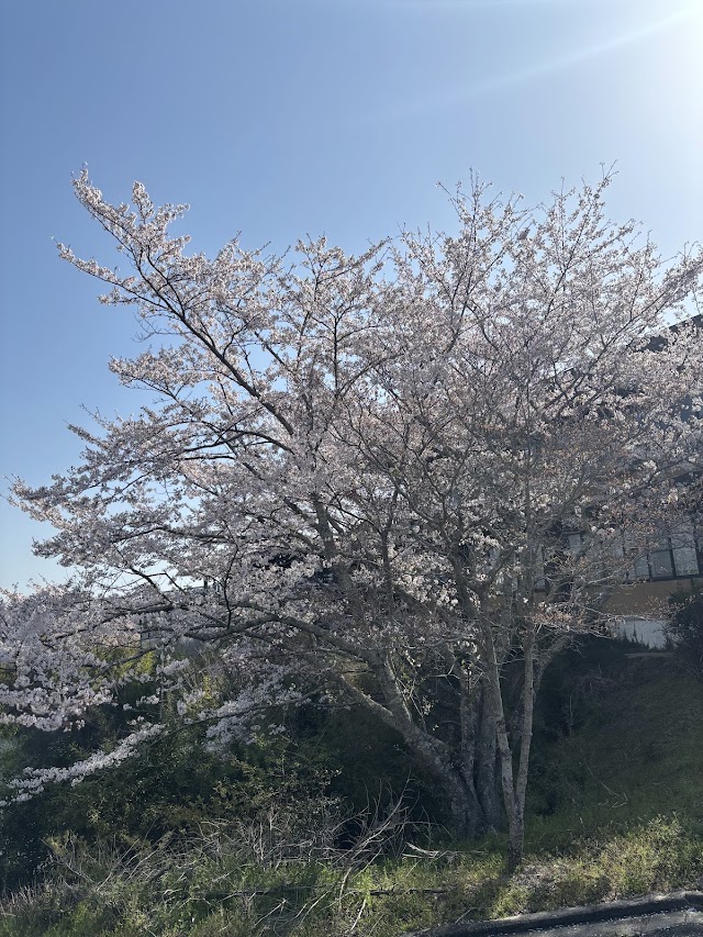 青山高原カントリークラブ - Photo 7