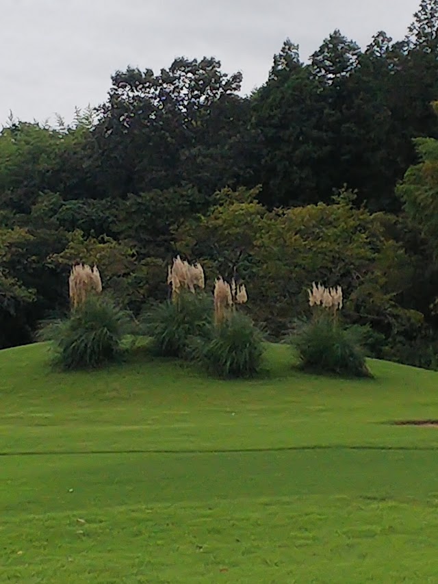 青山台ゴルフ倶楽部 - Photo 7