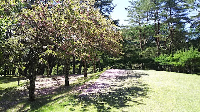 あららぎカントリークラブ - Photo 6