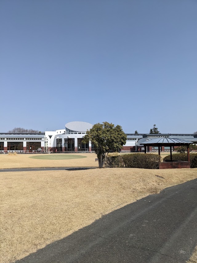 アローエース　ゴルフクラブ - Photo 7
