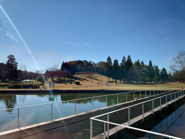 アローエース　ゴルフクラブ - Photo 1
