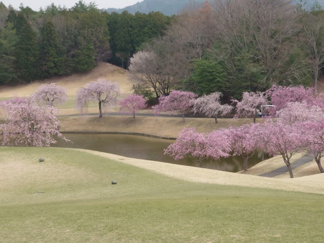 アートレイクゴルフ倶楽部 - Photo 3