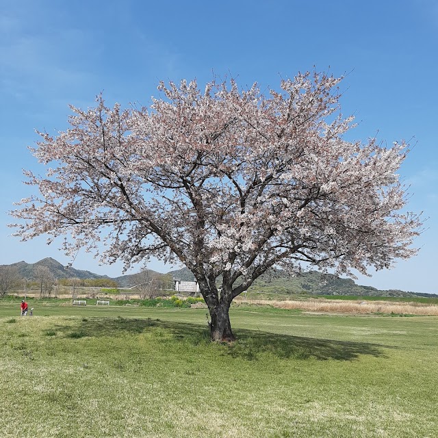 足利渡良瀬ゴルフ場 - Photo 2