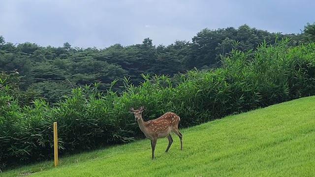 阿蘇スカイブルーゴルフリゾート - Photo 1