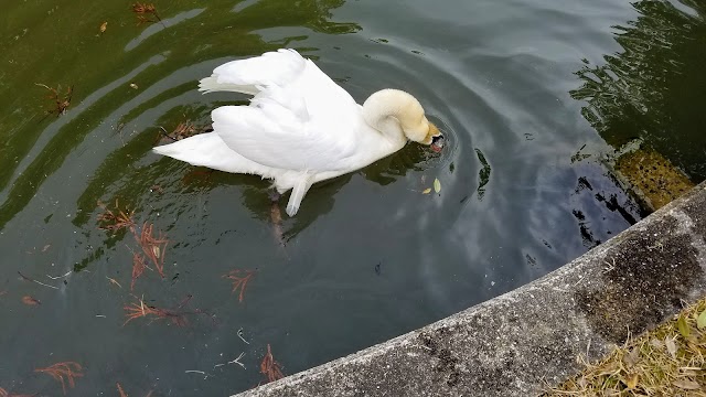 粟賀ゴルフ倶楽部 - Photo 1
