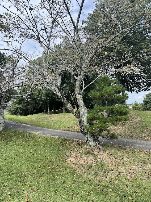 播州東洋ゴルフ倶楽部 - Photo 3