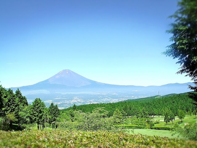 ベルビュー長尾ゴルフ倶楽部 - Photo 4