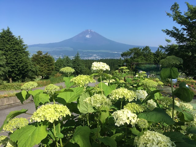 ベルビュー長尾ゴルフ倶楽部 - Photo 3
