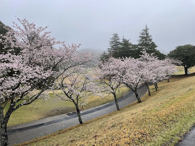 ベルセルバカントリークラブ 市原コース - Photo 3