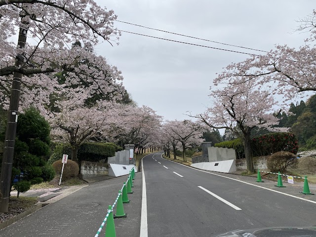 房総カントリークラブ　房総ゴルフ場 - Photo 7