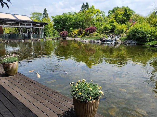 千葉バーディクラブ - Photo 6