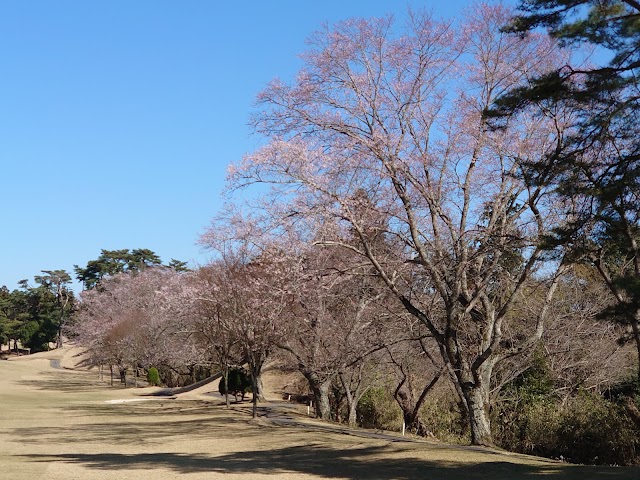 佐倉カントリー倶楽部 - Photo 8