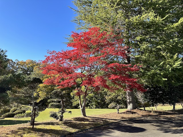 秩父国際カントリークラブ - Photo 2