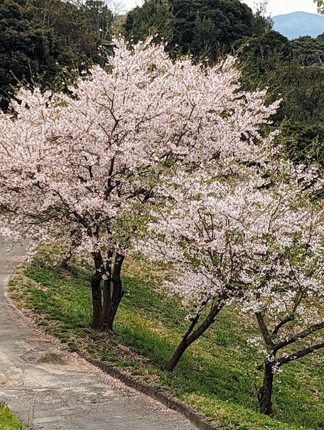 筑紫ヶ丘ゴルフクラブ - Photo 1
