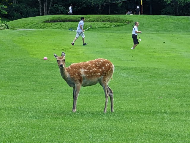チサンカントリークラブ銭凾 - Photo 8