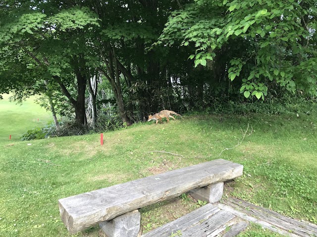 クラークカントリークラブ - Photo 2