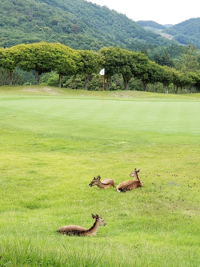 ココパリゾートクラブ　三重白山ゴルフコース - Photo 3