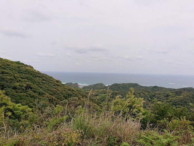 コスモリゾート種子島ゴルフクラブ - Photo 8