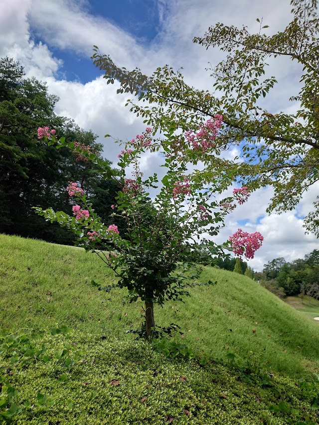 クラウンカントリークラブ - Photo 6