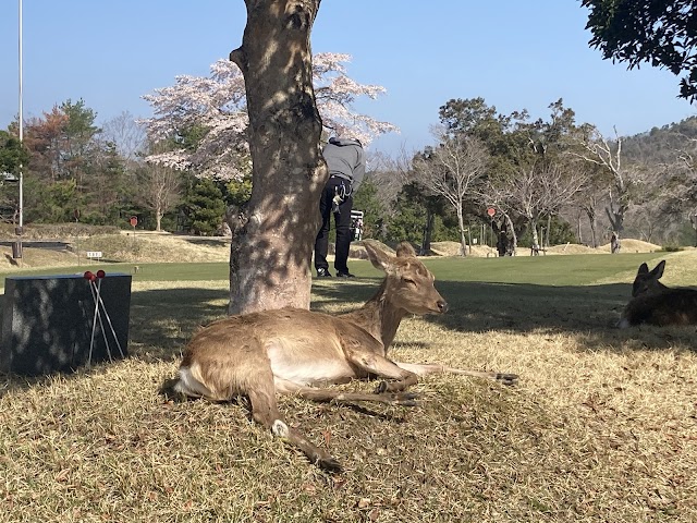 クラウンヒルズ京都ゴルフ倶楽部 - Photo 8