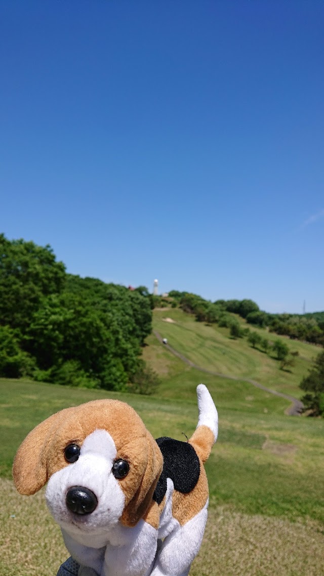 大新潟カントリークラブ　三条コース - Photo 3