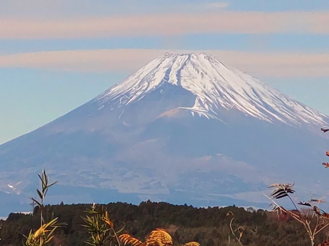 大熱海国際ゴルフクラブ　大仁コース・熱海コース - Photo 2