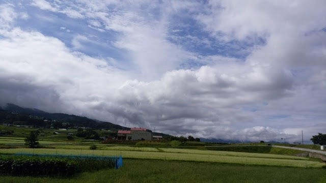 大信ゴルフショートコース - Photo 10