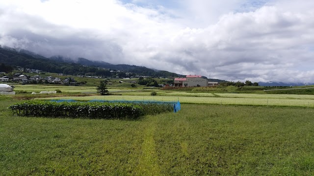 大信ゴルフショートコース - Photo 2