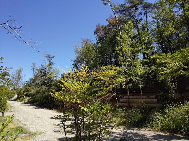 大信ゴルフショートコース - Photo 3