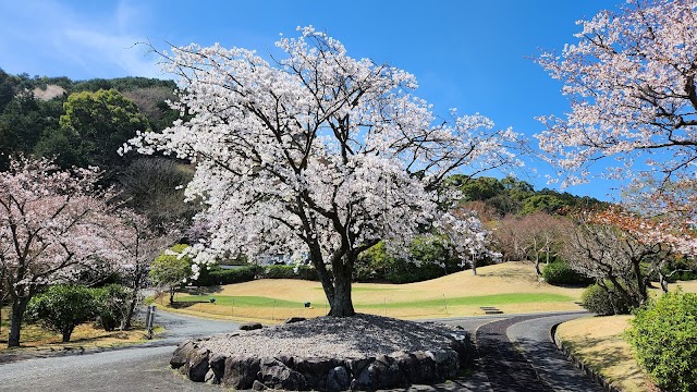 太宰府ゴルフ倶楽部 - Photo 6