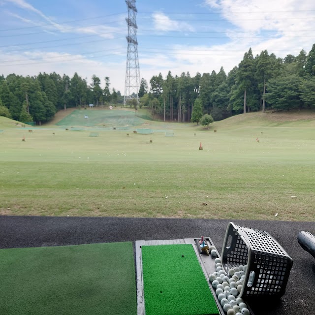 ダイナミックゴルフ千葉 - Photo 9