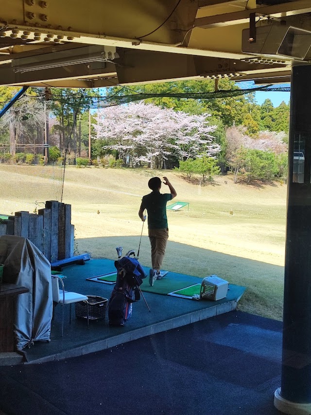 ダイナミックゴルフ千葉 - Photo 7
