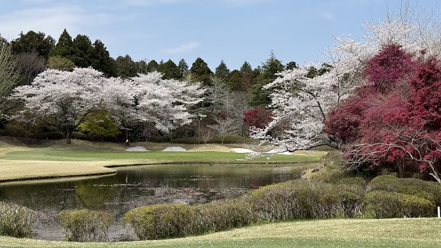 ダイナミックゴルフ成田 - Photo 6