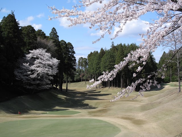 ダイナミックゴルフ成田 - Photo 2