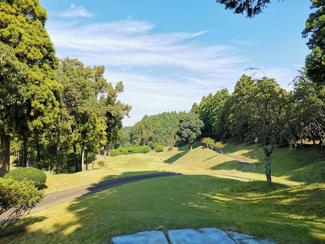 ダイナミックゴルフ成田 - Photo 4
