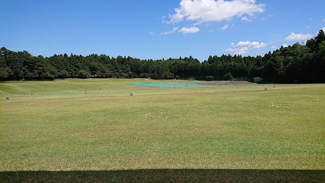 ダイナミックゴルフ成田 - Photo 7