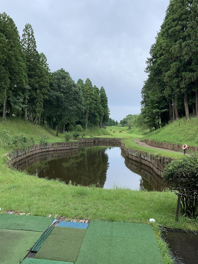 ダイナミックゴルフ成田 - Photo 1