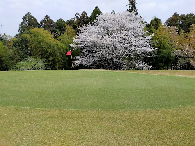 ダイナミックゴルフ成田 - Photo 5