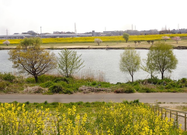江戸川ラインゴルフ場 - Photo 4