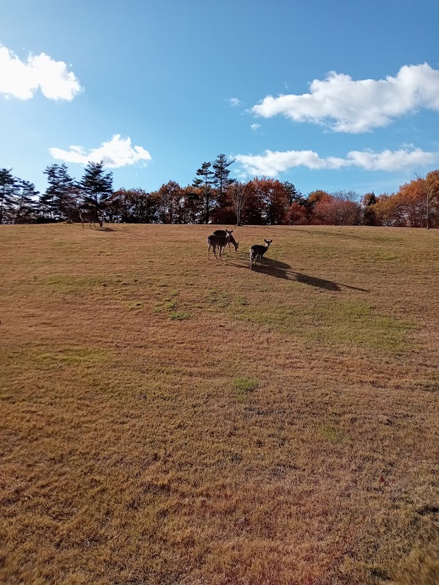 江刺カントリー倶楽部 - Photo 1