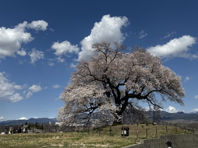 エクセルヒルズ - Photo 3