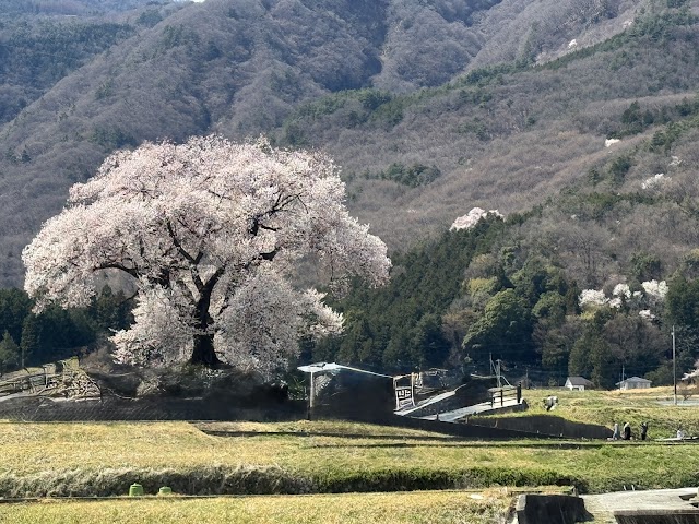 エクセルヒルズ - Photo 5