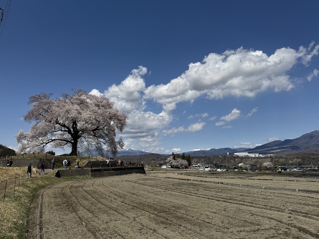 エクセルヒルズ - Photo 2