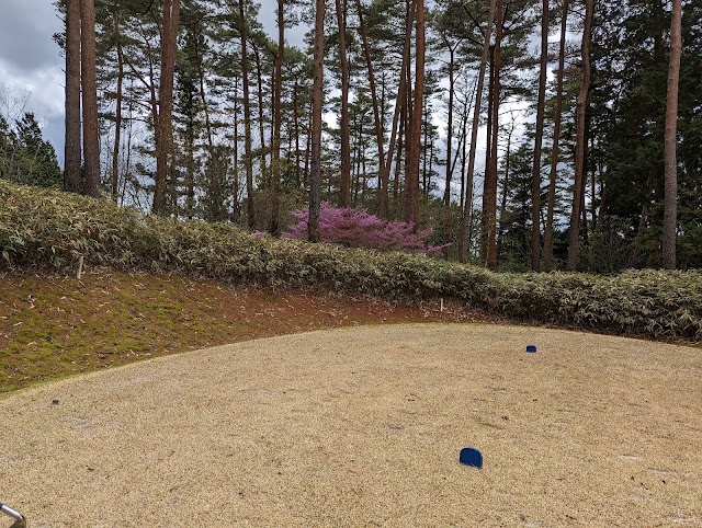 フォーティーンヒルズカントリークラブ - Photo 3