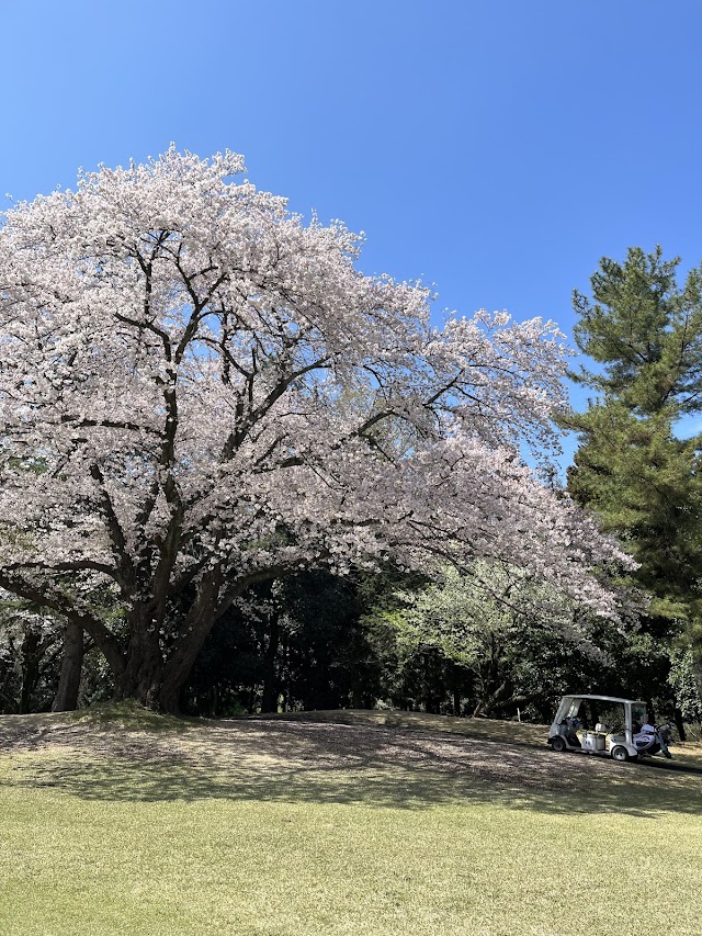 府中カントリークラブ - Photo 9