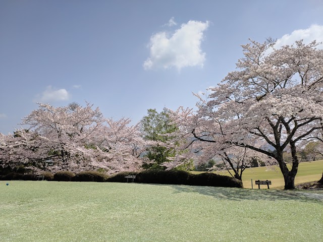 富士ロイヤルカントリークラブ - Photo 3