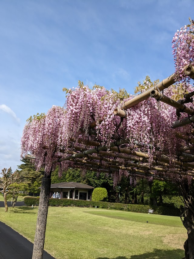 藤ケ谷カントリークラブ - Photo 7