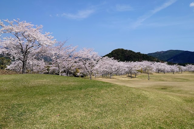 フジカントリークラブ - Photo 4
