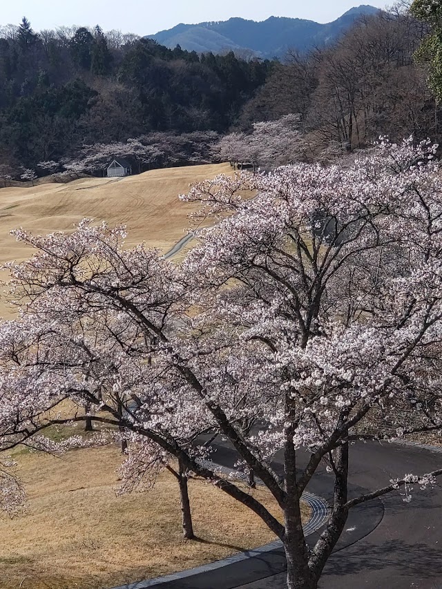 袋田の滝カントリークラブ - Photo 6